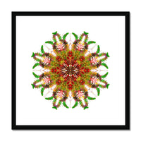 Bounty Mandala Framed & Mounted Print
