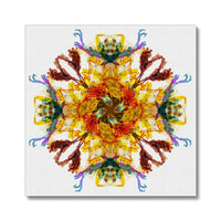 Ancient Wisdom Mandala Canvas