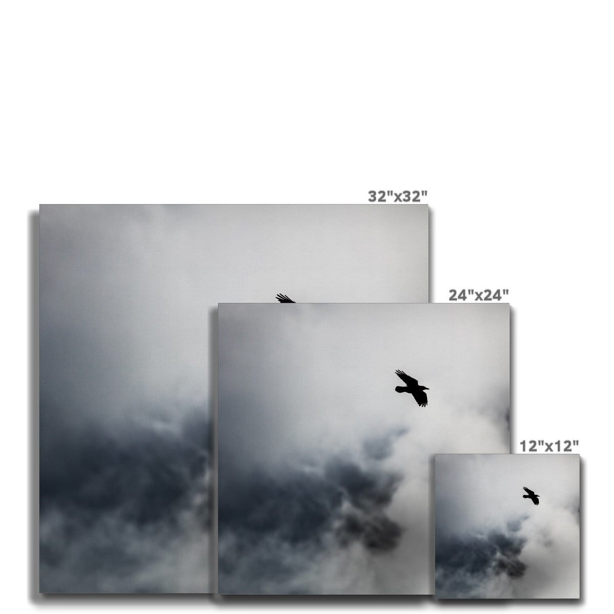 Storm Raven 2 Canvas