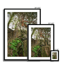 Boulder and Yew Framed & Mounted Print