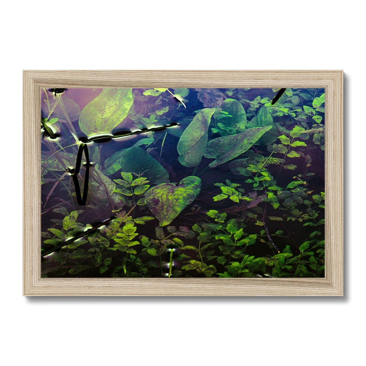 Sacred Pool Framed Print