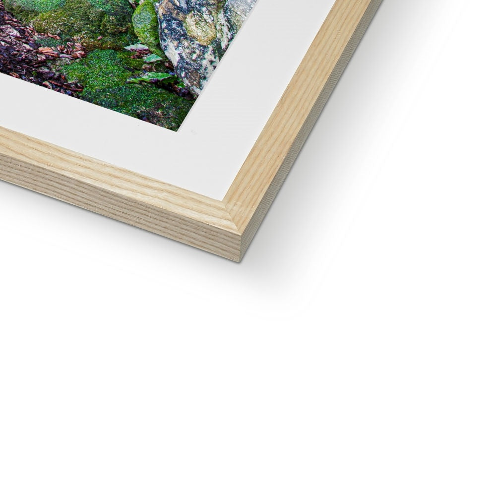 Yew guardian Framed & Mounted Print