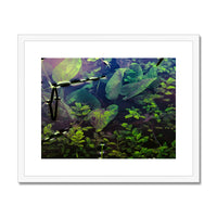 Sacred Pool Framed & Mounted Print