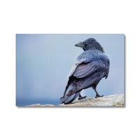 The Raven of Ireland Canvas