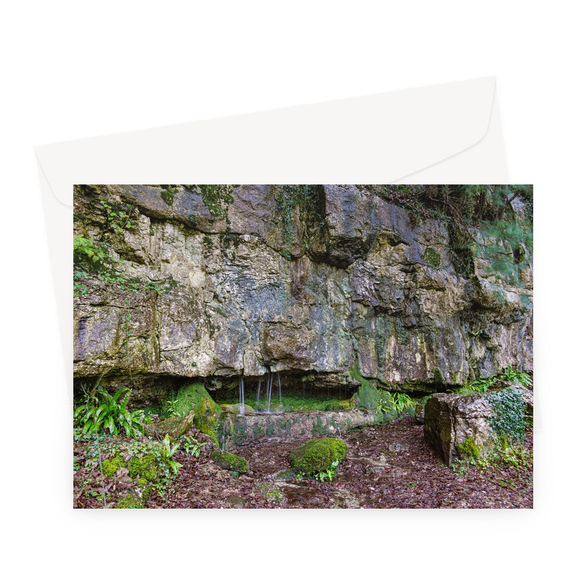 Woodwell Dawn Greeting Card
