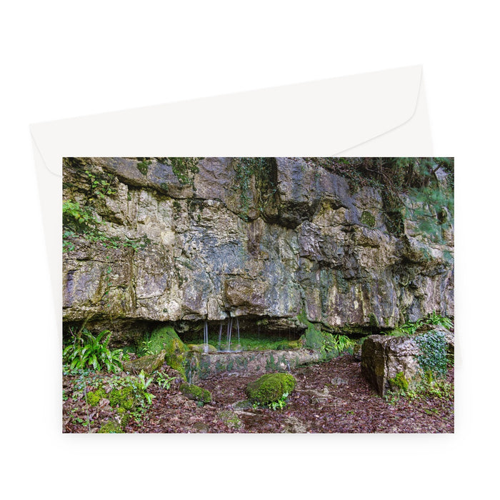 Woodwell Dawn Greeting Card