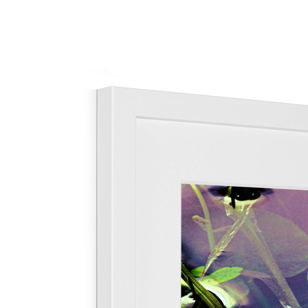 Sacred Pool Framed & Mounted Print