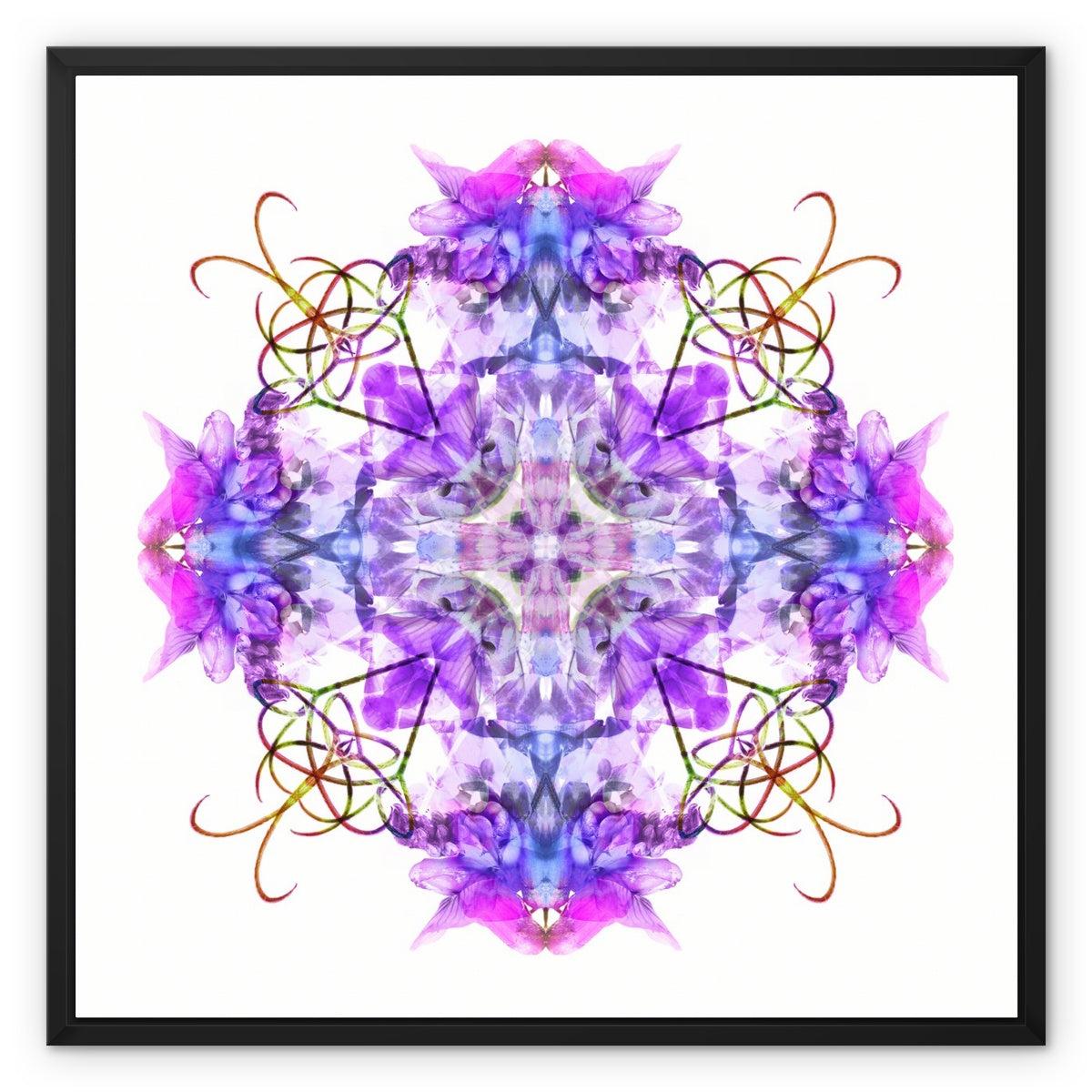 Cave Capriolique Framed Canvas