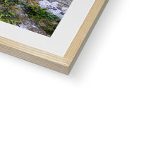 Ivy Clad Framed & Mounted Print