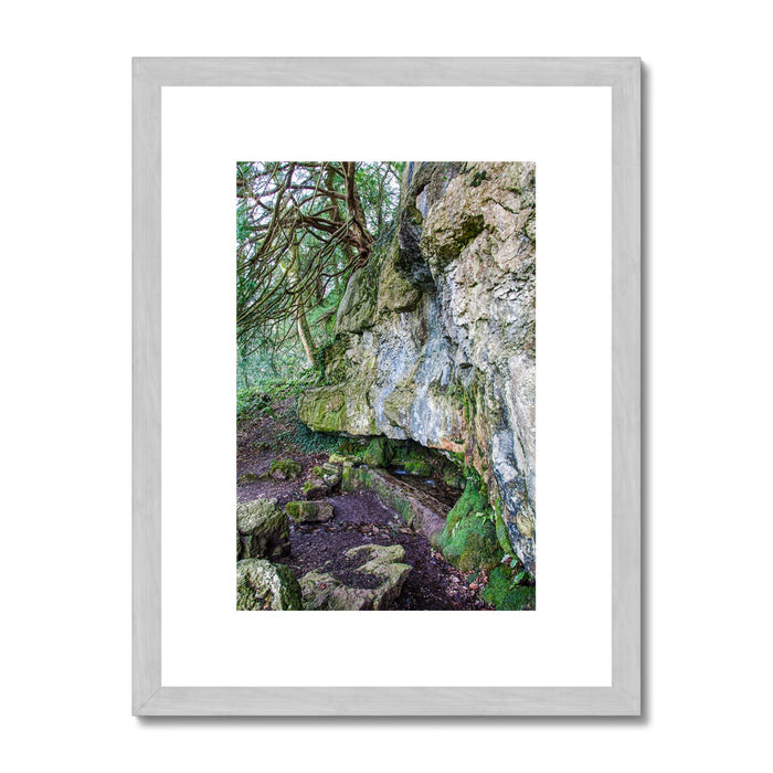Yew guardian Antique Framed & Mounted Print