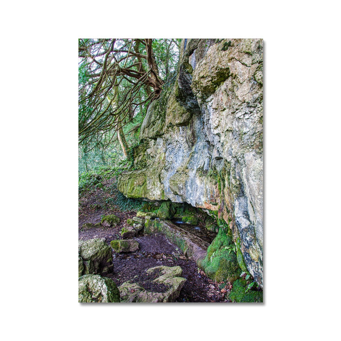 Yew guardian Wall Art Poster
