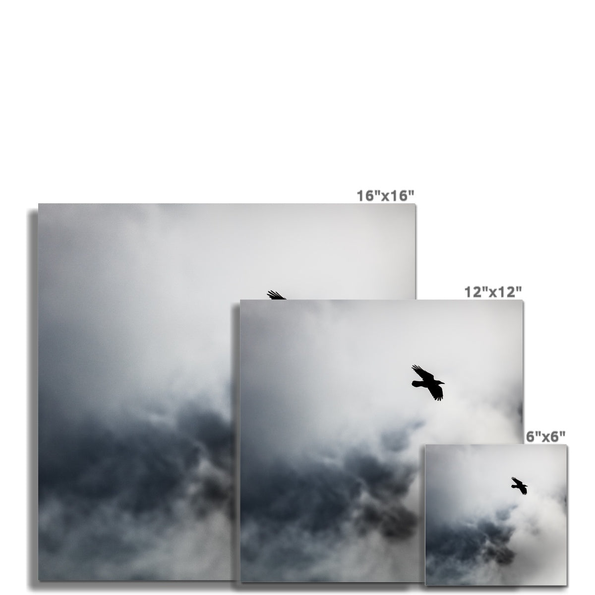Storm Raven 2 Wall Art Poster