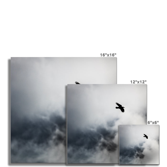 Storm Raven 2 Wall Art Poster