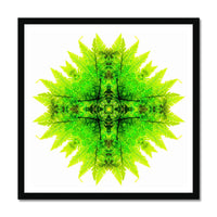 Spirit of Place Framed Print