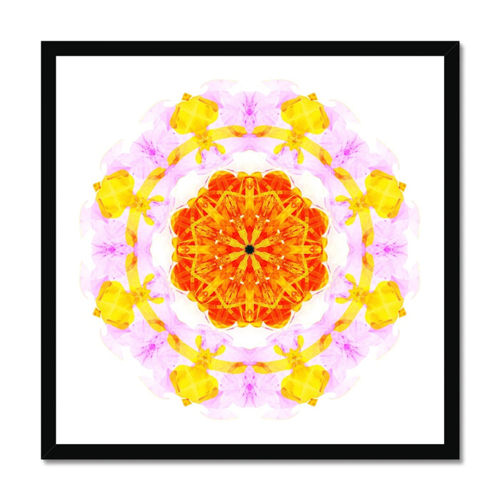 Creativity Mandala Budget Framed Poster