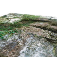 Rock Guardian Canvas
