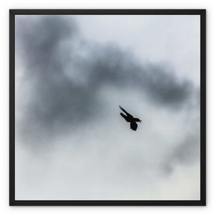 Storm Raven 3 Framed Canvas