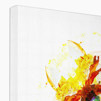 Earth Healing Canvas