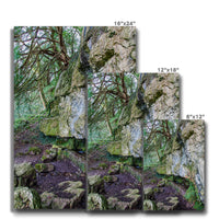 Yew guardian Canvas