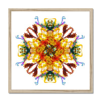Ancient Wisdom Mandala Budget Framed Poster