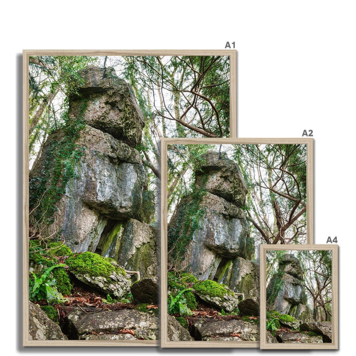 Rock Guardian Framed Print