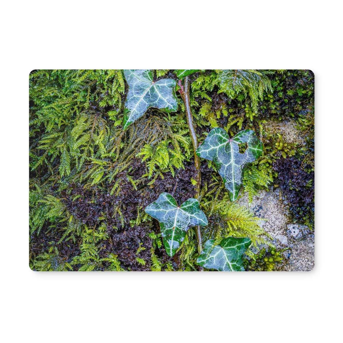 Ivy Clad Placemat