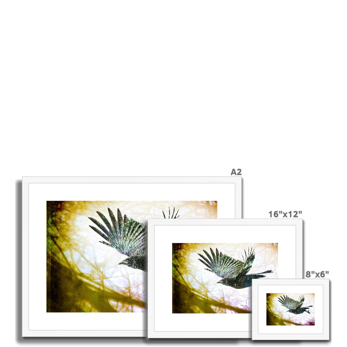 Woodland Crow Framed & Mounted Print