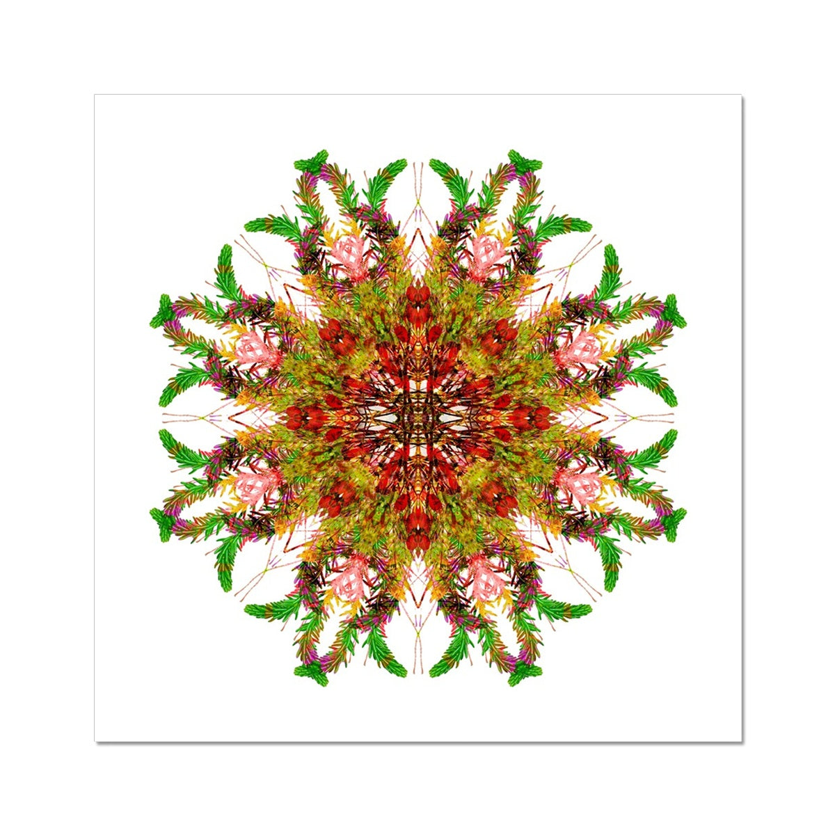 Bounty Mandala Fine Art Print