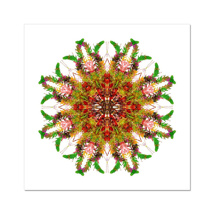 Bounty Mandala Fine Art Print