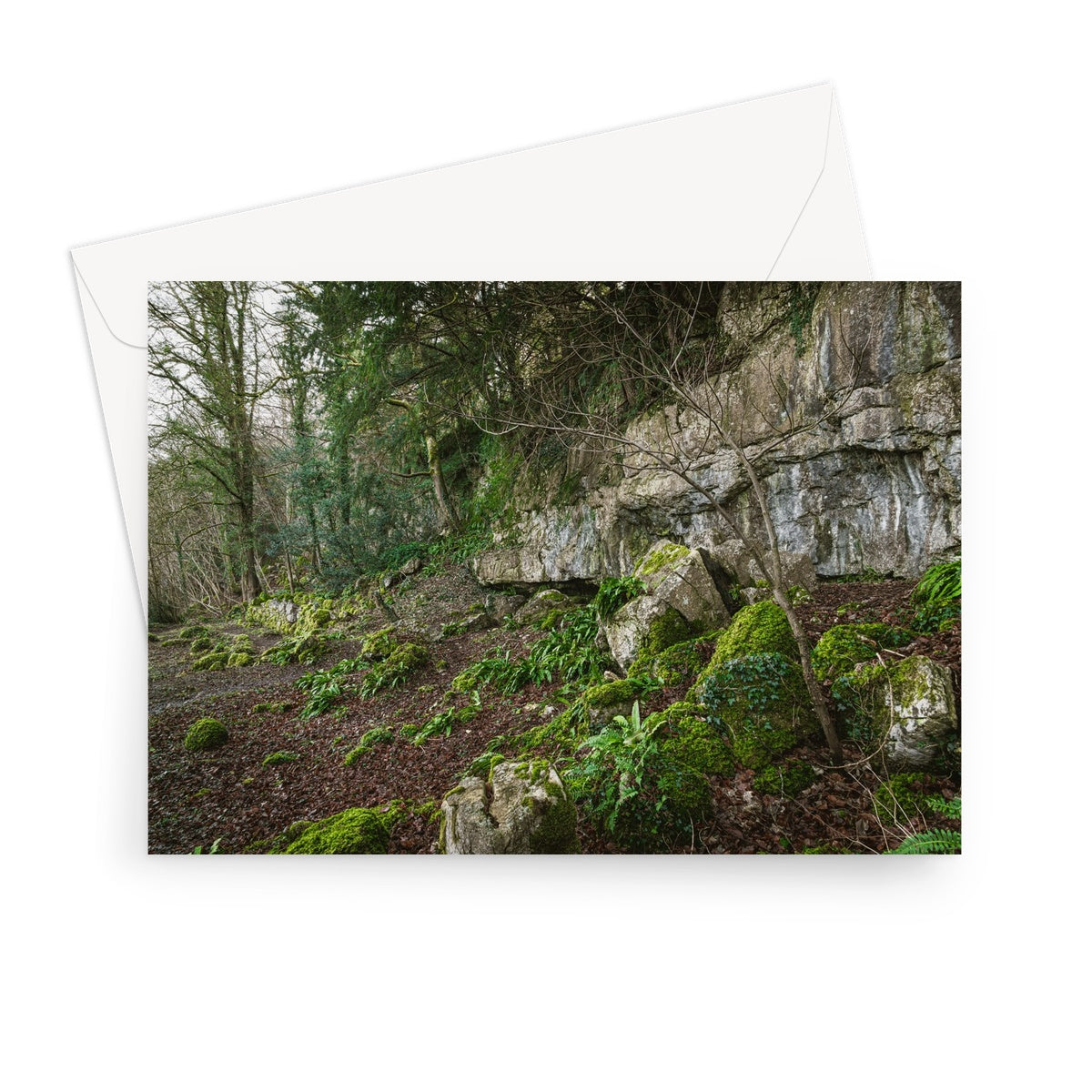 Woodwell Secrets Greeting Card