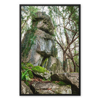 Rock Guardian Framed Canvas