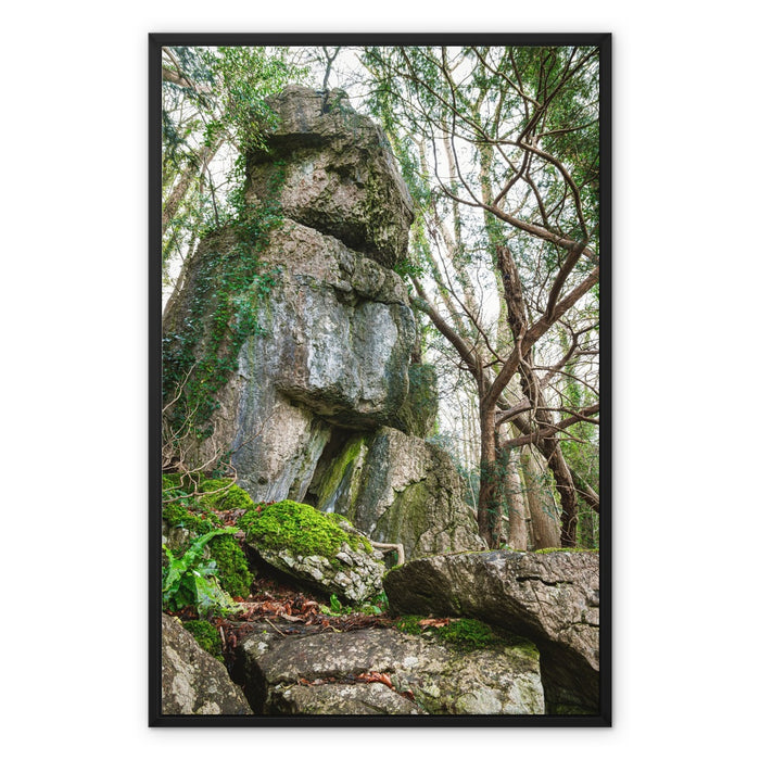 Rock Guardian Framed Canvas
