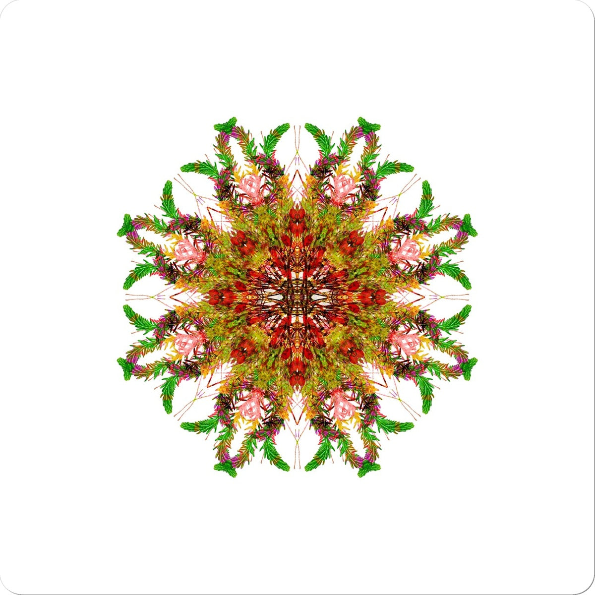 Bounty Mandala Sticker