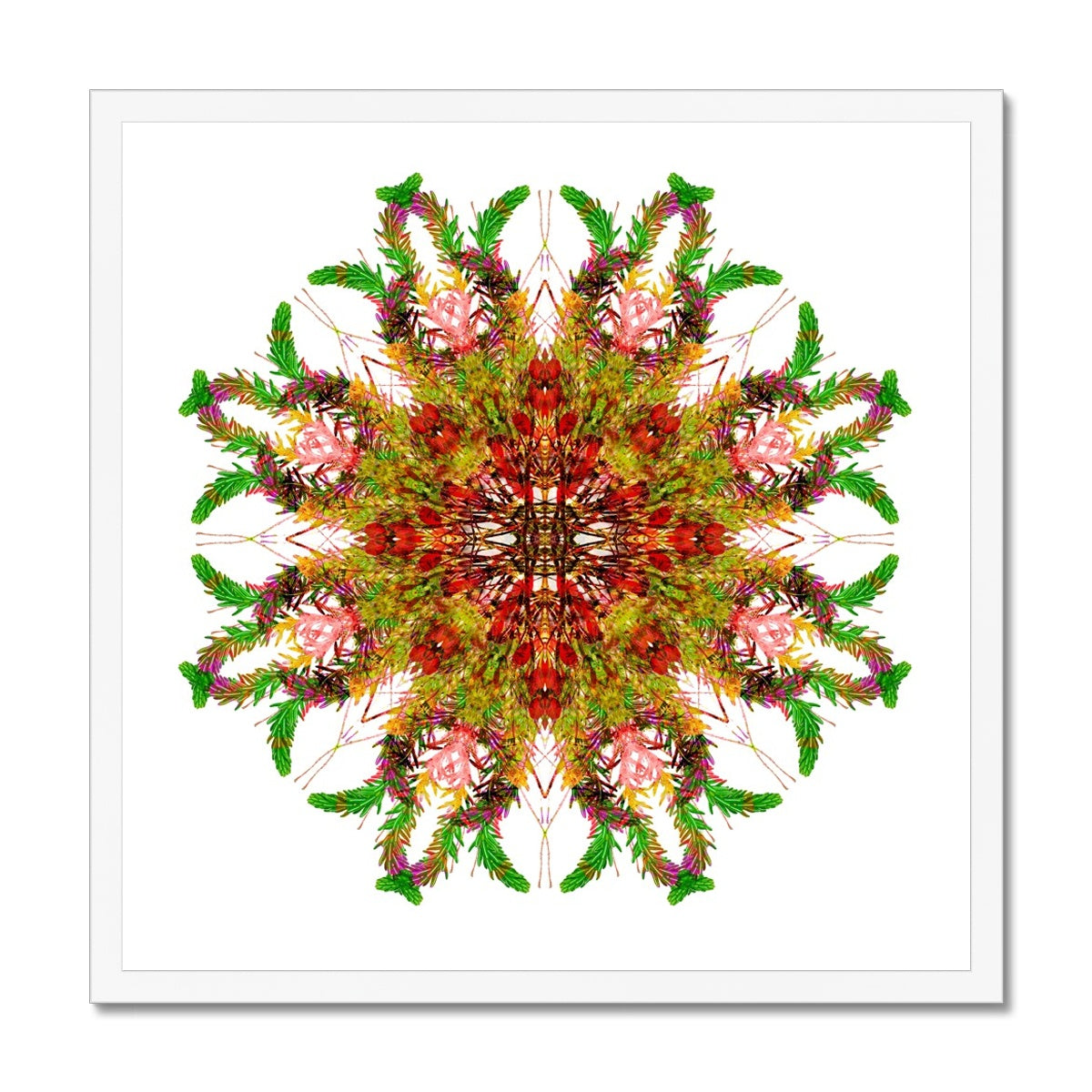 Bounty Mandala Framed Print