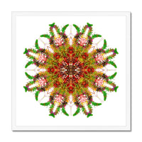 Bounty Mandala Framed Print