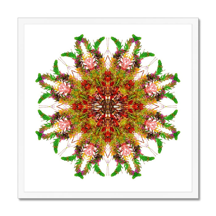 Bounty Mandala Framed Print