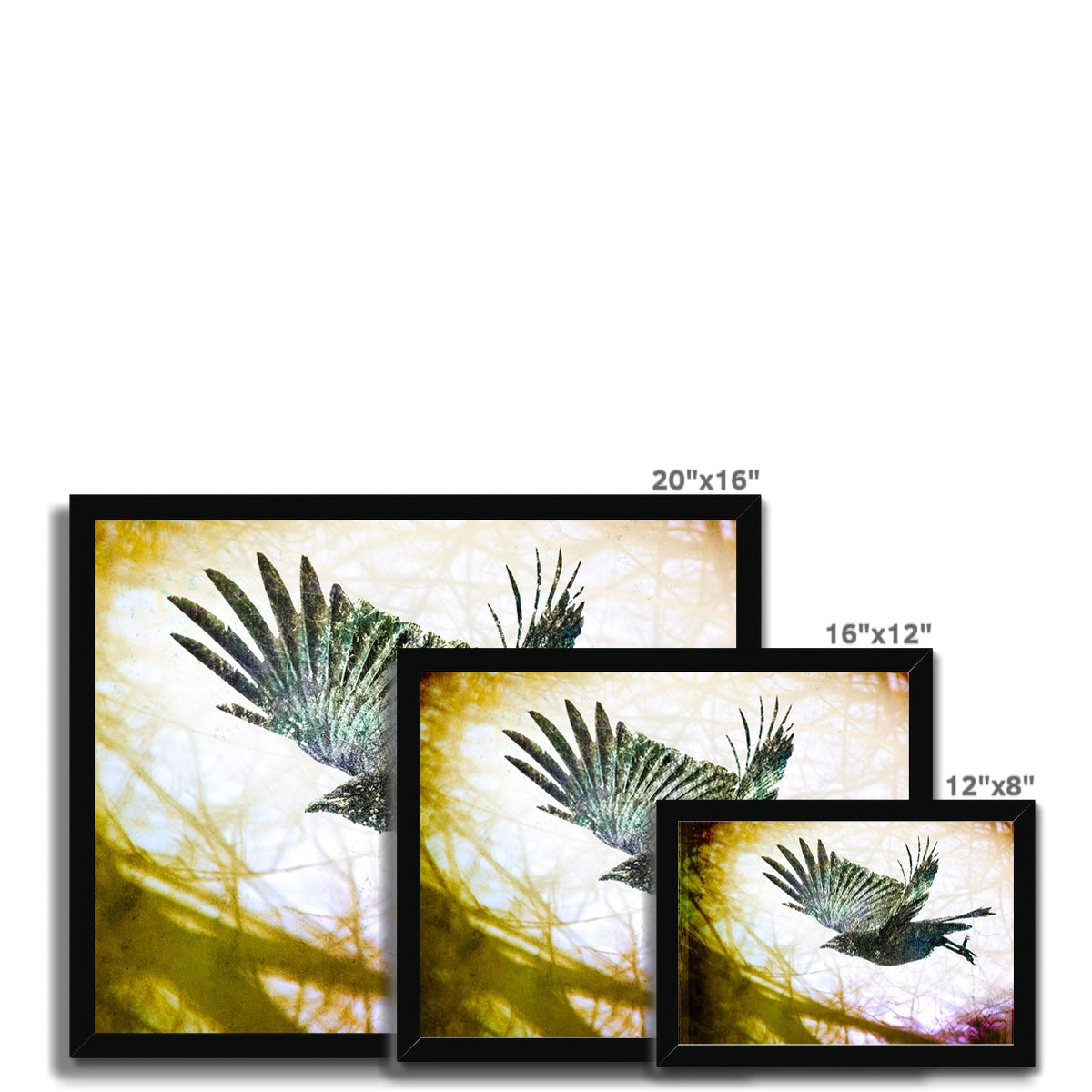 Woodland Crow Framed Print