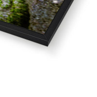 Woodwell basin Framed Print