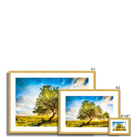 The Winskill Ash Antique Framed & Mounted Print
