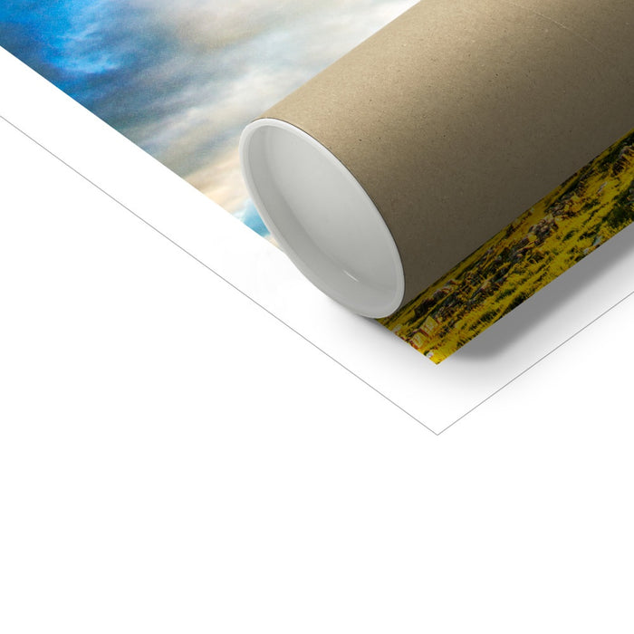 The Winskill Ash Fine Art Print