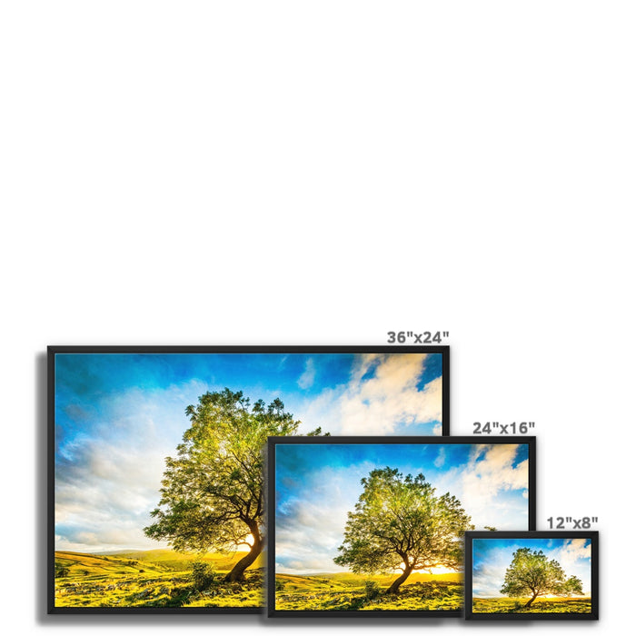 The Winskill Ash Framed Canvas