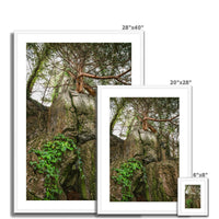 Boulder and Yew Framed & Mounted Print