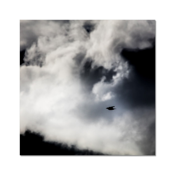 Storm Raven 1 Wall Art Poster