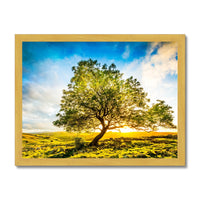 The Winskill Ash Antique Framed Print
