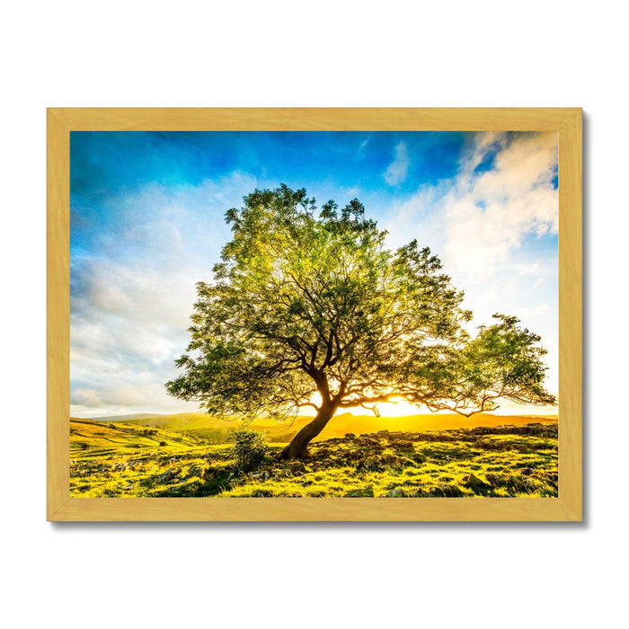 The Winskill Ash Antique Framed Print