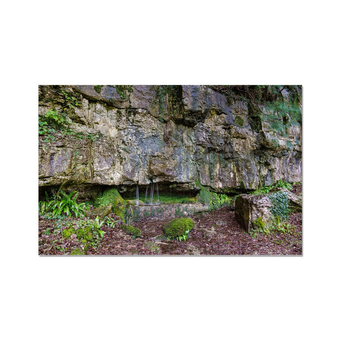 Woodwell Dawn Wall Art Poster