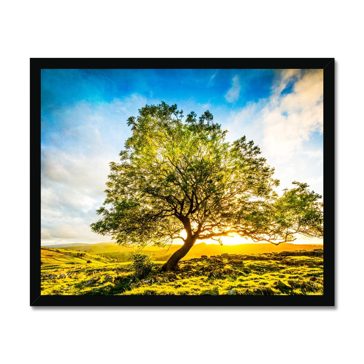 The Winskill Ash Framed Print