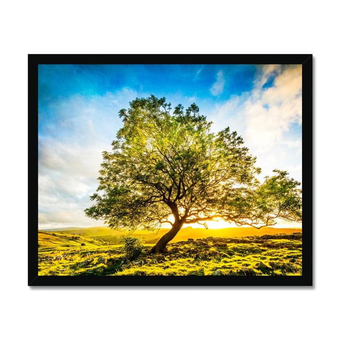 The Winskill Ash Framed Print