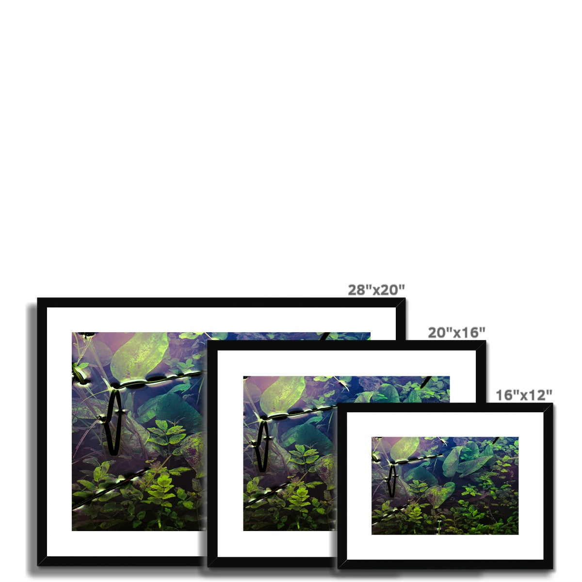 Sacred Pool Framed & Mounted Print
