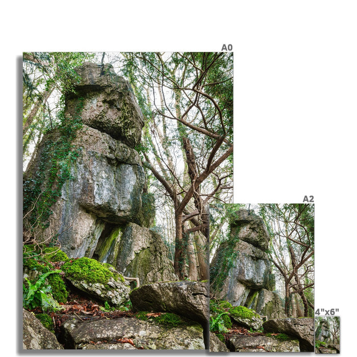 Rock Guardian Wall Art Poster